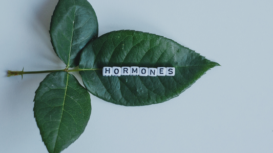 Hormone verstehen: Welche Hormone haben einen Einfluss auf deinen Körper